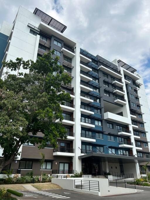 Royalty Suites キングストン エクステリア 写真